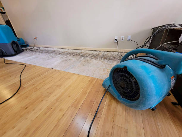 Professional Basement Flood Cleanup technician working in Florence, MS